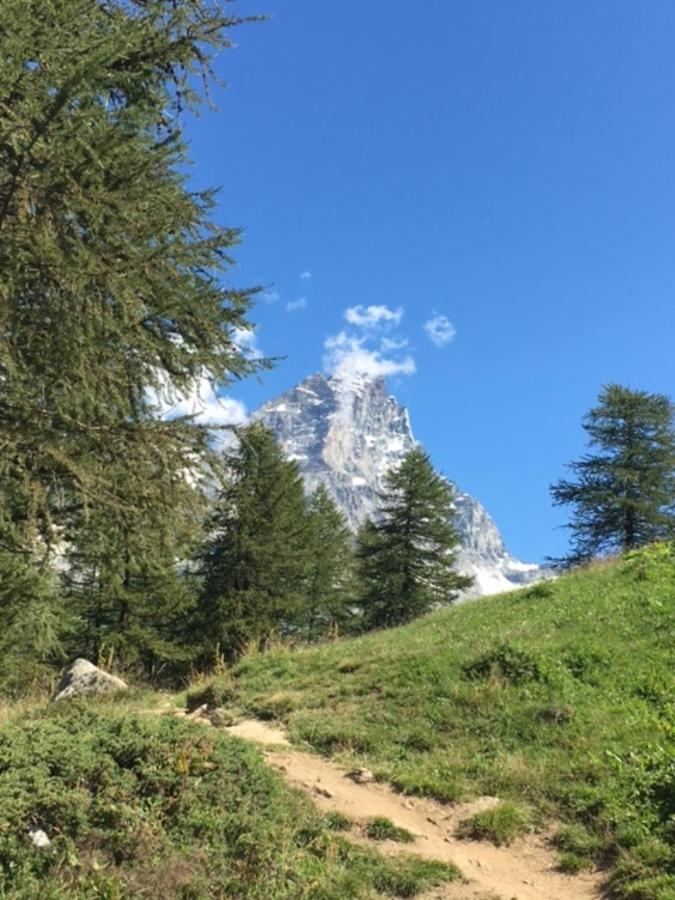 ブレウイル・チェルヴィナイアCasa Cervinia Circusアパートメント エクステリア 写真